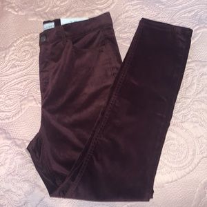 NWT Burgundy Velvet Pant